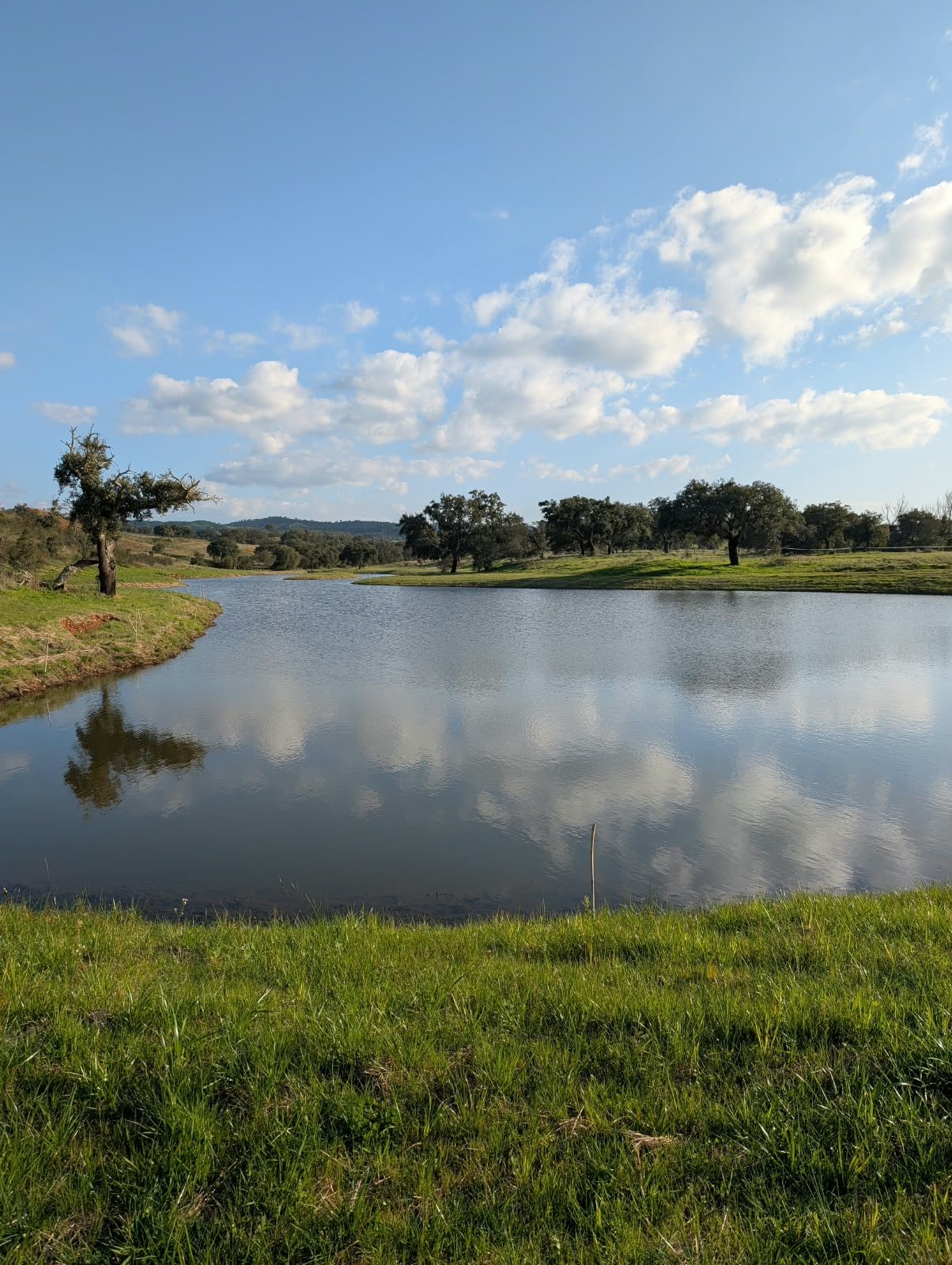 Rainwater pond in Arrabacinha, Colos