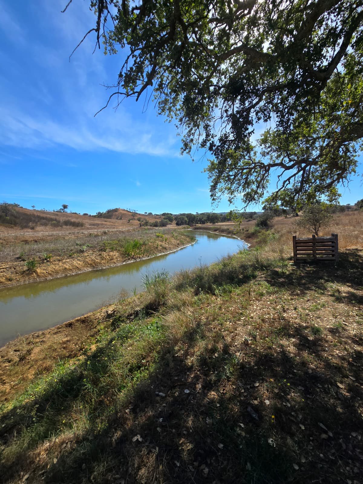 Pond among cork oaks in Arrabacinha, Colos